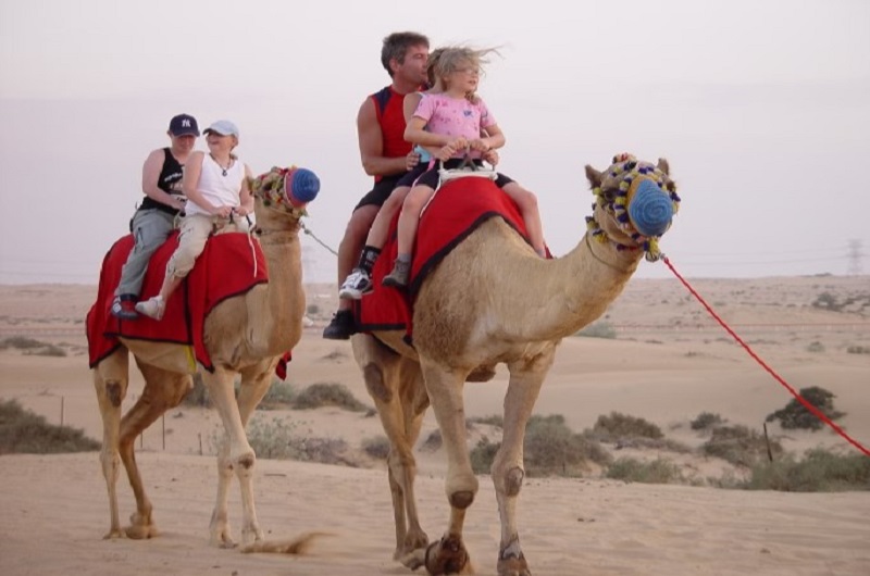 Dubai Family Tripa / Habibi World Travel & Tour   https://habibi-world-travel-agency.com